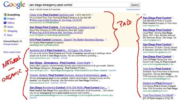 google-serp